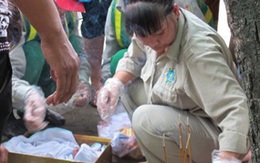 Phát hiện thai nhi 7 tháng tuổi trong thùng rác 