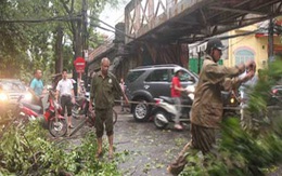 Tin cuối cùng về cơn bão số 5