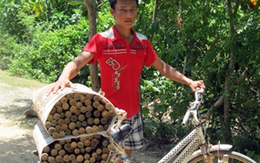 Thí sinh đạp xe 300 km được đặc cách vào ĐH: 'Em ngỡ mình đang mơ'