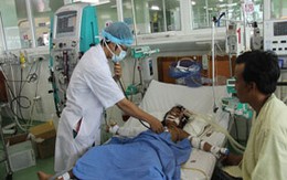 Bị ong đốt vì chủ quan
