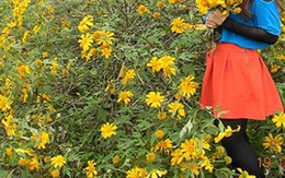 Trên đời không còn tình yêu chung thủy?