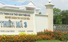 Bị xiết nợ, đại gia mất 3 biệt thự