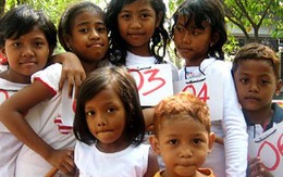 Luật phát triển dân số và gia đình hạnh phúc Indonesia (4)