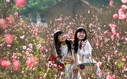 Miền Bắc duy trì thời tiết đẹp