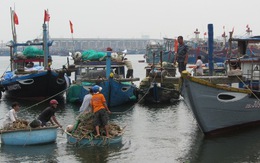 Ngư dân Đà Nẵng chuẩn bị đối phó với cơn bão số 12
