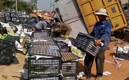 Quảng Nam: Hàng chục tấn xoài đổ xuống đường, người dân giúp tài xế thu gom