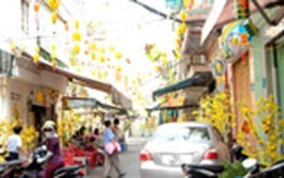 TP HCM: Náo nức các hoạt động chào đón Xuân Giáp Ngọ