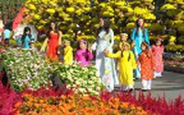 TP HCM: Năm 2015 sẽ không tổ chức đường hoa tại Nguyễn Huệ