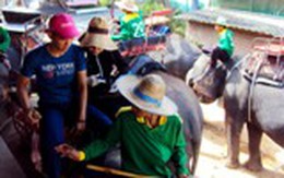 Du lịch Việt “Khuấy động mùa hè”