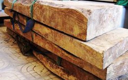 Quảng Bình: Lại rộ lên tin đồn phát hiện gỗ huê tiền tỷ dưới suối