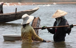 Ngâm mình đãi lộc trên sông Gianh