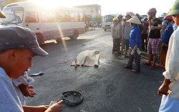 Đối đầu xe tải, một thanh niên chết thảm