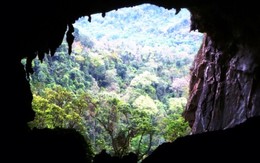 2.933 khách du lịch bị “móc túi” khi thăm VQG Phong Nha - Kẻ Bàng?