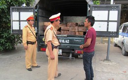 Quảng Bình: Bắt hơn 2m3 gỗ Gõ