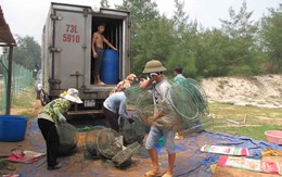 Xả hồ thu tôm gây bệnh dịch cho chủ hồ tôm khác