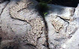 Nước tạo nên hình bản đồ Việt Nam trên phiến đá