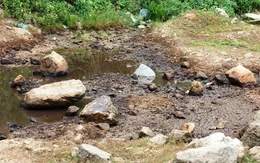 Quảng Bình: Xử phạt đơn vị để 3000lit dầu thấm vào lòng đất