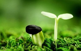 Đối mặt với những thử thách của cuộc đời như thế nào?
