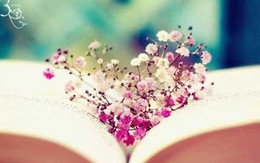 Câu chuyện hay về học cách chấp nhận