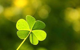 Đừng bao giờ bỏ cuộc khi còn có thể!