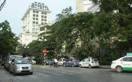 Hà Nội: Đường lịch sử 19/12 sắp thành bãi trông xe