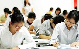 Ngừng cấp chứng chỉ sư phạm - lãng phí tài năng và làm chảy máu chất xám?