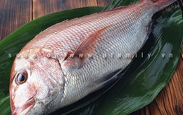 10 "thần dược" cho phái mạnh