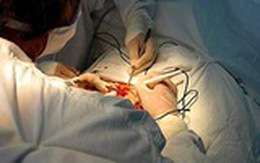 "Mọc" khối u khổng lồ ở "của quý"