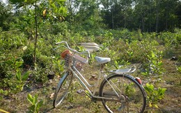 Nữ sinh nghi bị giết chết khi mang bầu