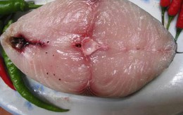Những bộ phận của cá giúp người khỏe
