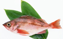 Bí quyết chọn mua cá tươi ngon