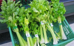 Thực phẩm giải độc tốt cho cơ thể