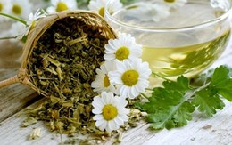 Thảo dược quý nên dùng cho ngày hè