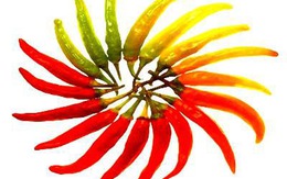 7 thực phẩm khó ăn nhưng tốt cho chị em