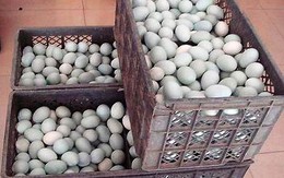 Trứng vịt muối Trung Quốc chứa chất ung thư