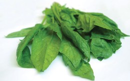 7 thực phẩm tốt cho phụ nữ