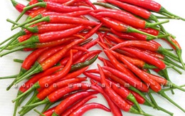 9 thực phẩm hay dùng có thể gây bệnh nhiều nhất 
