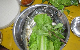 Ngon ngon cá xương xanh Hòn Nồm