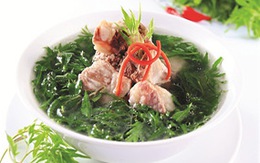 Bổ dưỡng canh sườn lá đinh lăng