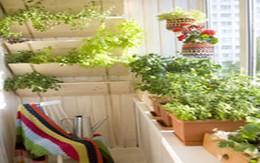 Làm đẹp ban công nhỏ nhà bạn