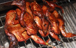 Chim cút quay thơm phức cả phố phường