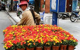 Khách Tây 'tròn mắt' với 'thời trang' lạ lùng của người Việt