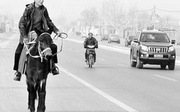 Xăng tăng giá, cưỡi ngựa đi làm