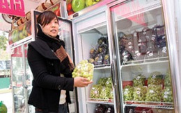 Bí quyết mua trái cây ngoại nhập