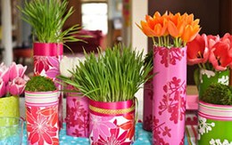 Mang sắc xuân vào ngôi nhà của bạn