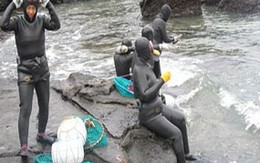 Câu chuyện về “Người cá” ở đảo Jeju