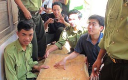 Tiếp tục diễn ra cướp bóc gỗ huê