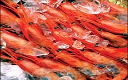 Mẹo bảo quản thực phẩm mùa nóng  