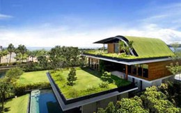 6 ngôi nhà chống nóng hiệu quả