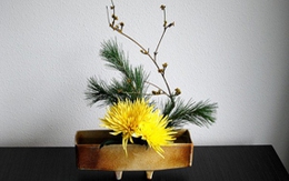 5 cách cắm hoa cúc đẹp chỉ với 2 bông hoa 